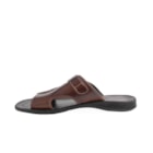 218 460 Castanho2_1-2